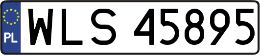 WLS45895
