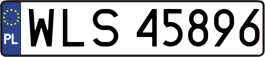 WLS45896