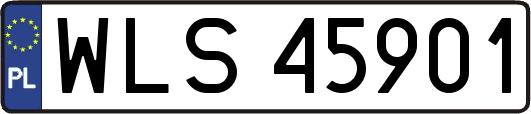 WLS45901