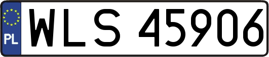WLS45906