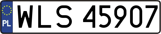WLS45907