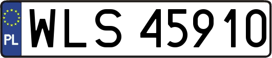 WLS45910