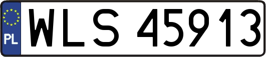 WLS45913
