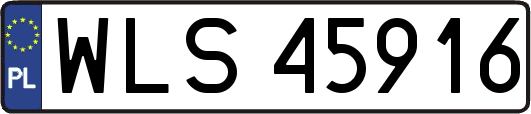 WLS45916