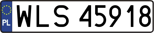 WLS45918