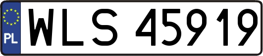 WLS45919