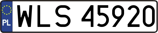 WLS45920