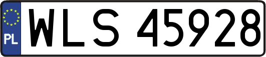 WLS45928