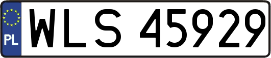 WLS45929