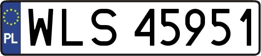 WLS45951