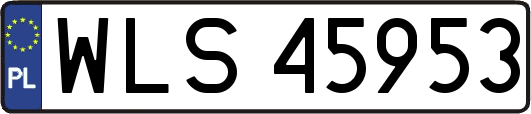 WLS45953