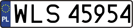 WLS45954