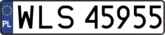 WLS45955
