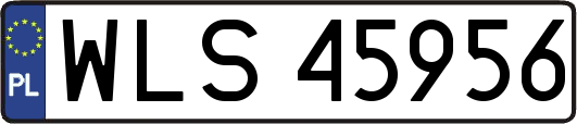 WLS45956