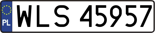 WLS45957