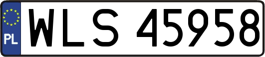 WLS45958