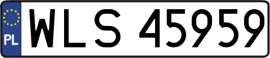 WLS45959