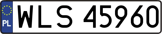 WLS45960