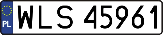 WLS45961