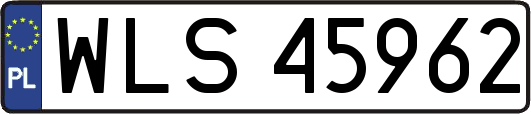 WLS45962