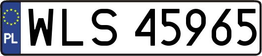 WLS45965