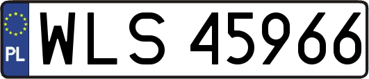 WLS45966