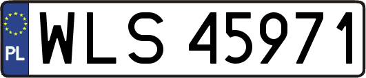 WLS45971