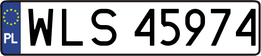 WLS45974