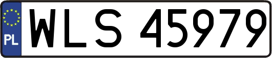 WLS45979