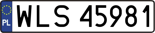 WLS45981