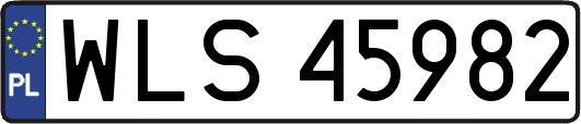 WLS45982