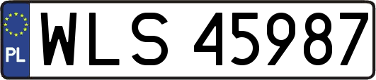 WLS45987
