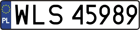 WLS45989