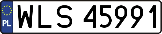 WLS45991