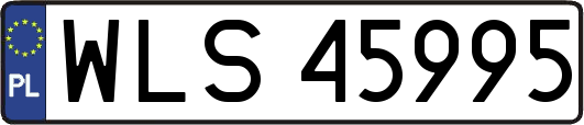 WLS45995