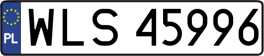 WLS45996
