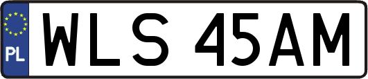 WLS45AM