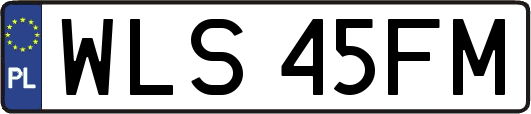 WLS45FM