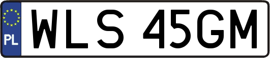 WLS45GM