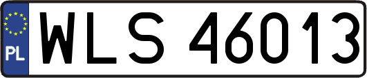 WLS46013