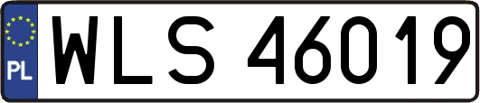 WLS46019