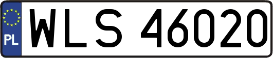 WLS46020
