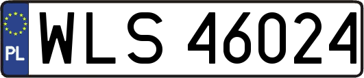 WLS46024