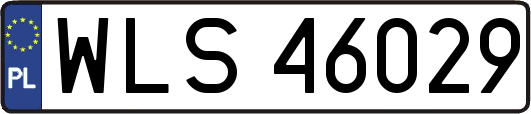 WLS46029