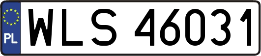 WLS46031
