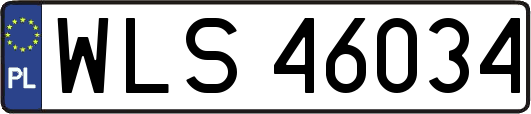 WLS46034