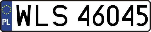 WLS46045