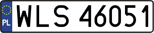 WLS46051