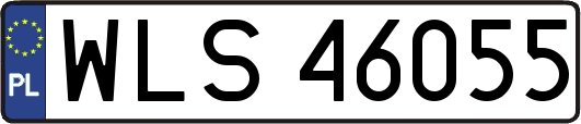 WLS46055