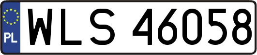 WLS46058